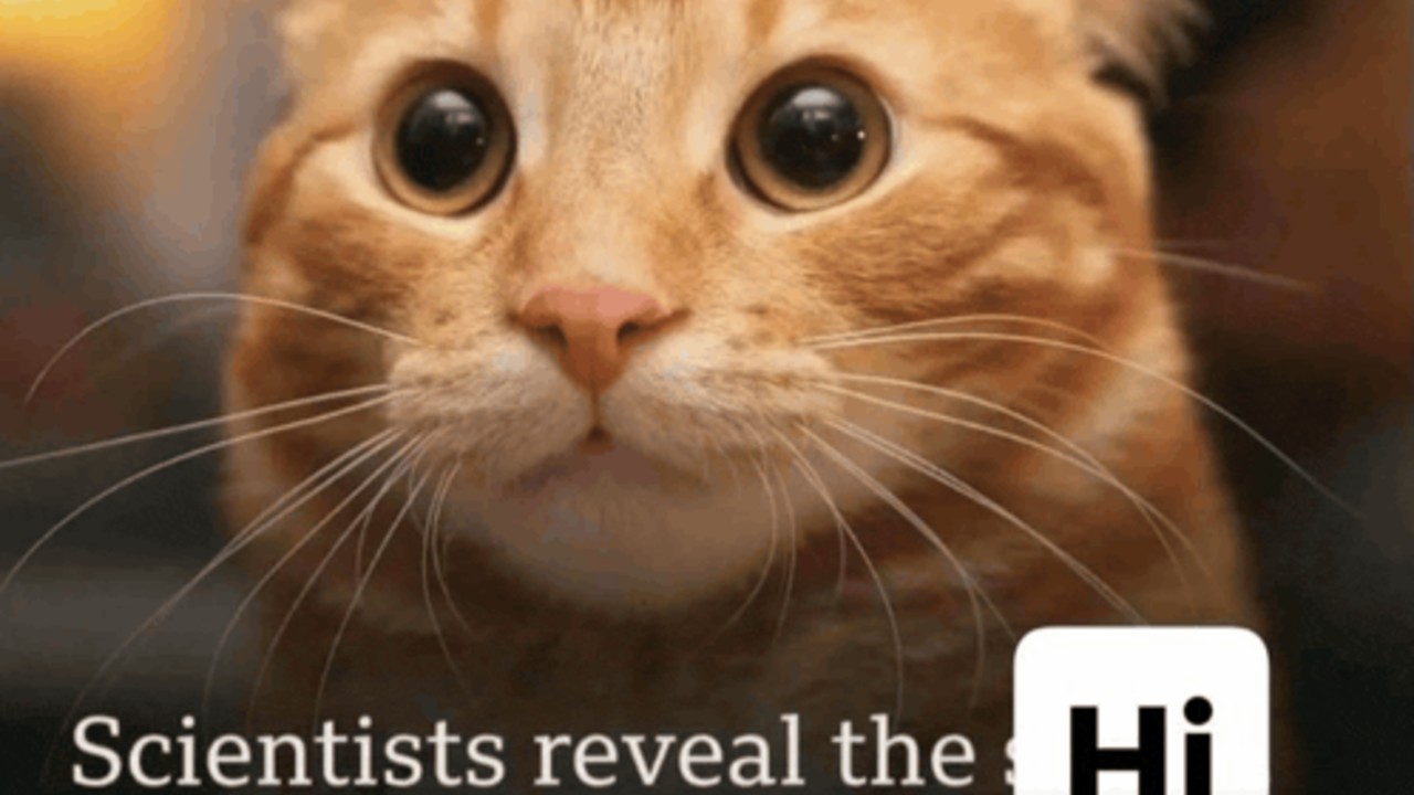 Memes: Trending Templates — Typing Blog | LearnType